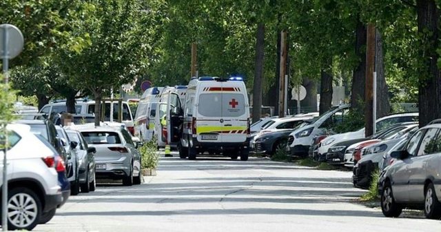 Sulmi i përgjakshëm në Austri, mes viktimave edhe një