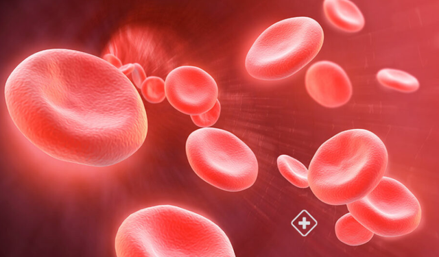 Rritet anemia në popullatë