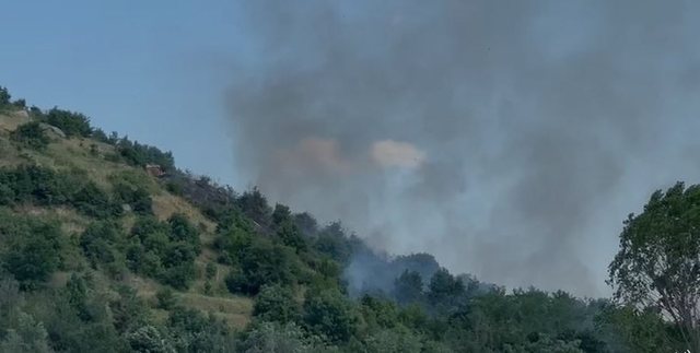 Vendi nuk gjen qetësi nga zjarret, përfshihet nga flakët mali