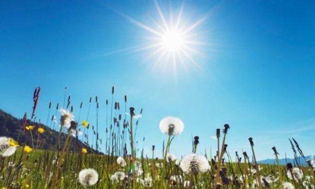 Weather forecast, how temperatures will change during the day