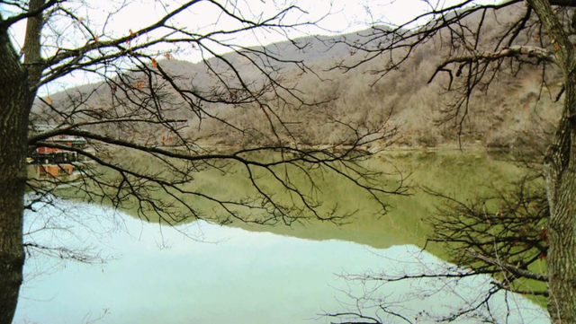 Masakër mjedisore në liqenin e Treganit në Elbasan. Ngordhje