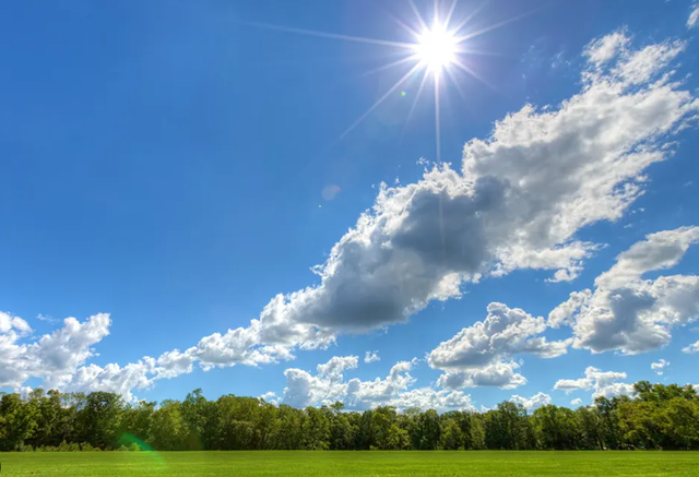 High temperatures, thermometer marks 31 degrees Celsius