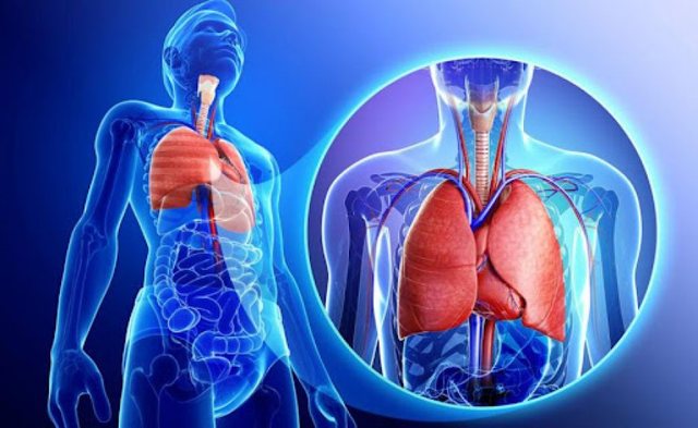More than 25 million people are affected by Pulmonary Hypertension, here are the