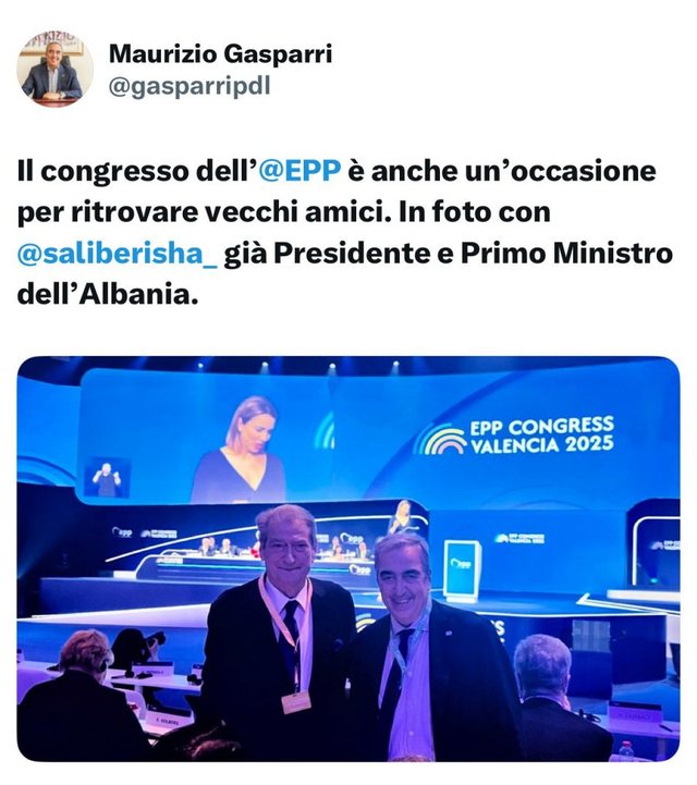 The president of the Forza Italia senatorial group supports Berisha on May 11th.