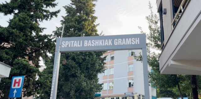 Salmonella poisoning of kindergarten children in Gramsh, doctor: Situation not