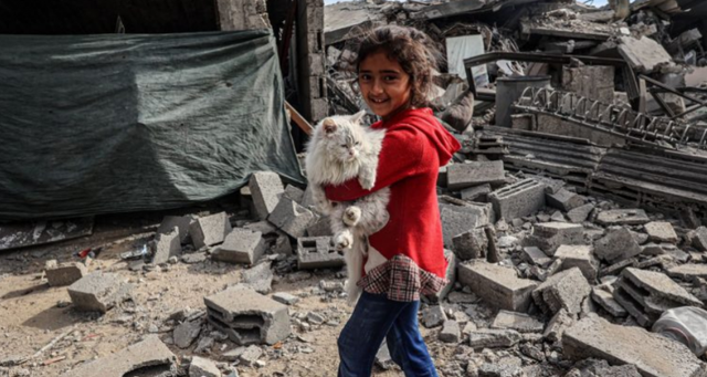 OKB: Gaza në kolaps bujqësor, vetëm 5% e tokës mbetet e
