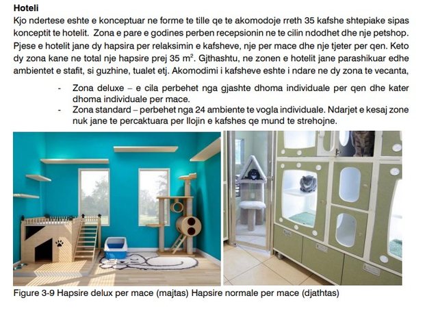 Government, 5 million euros to build a luxury dog ​​hotel