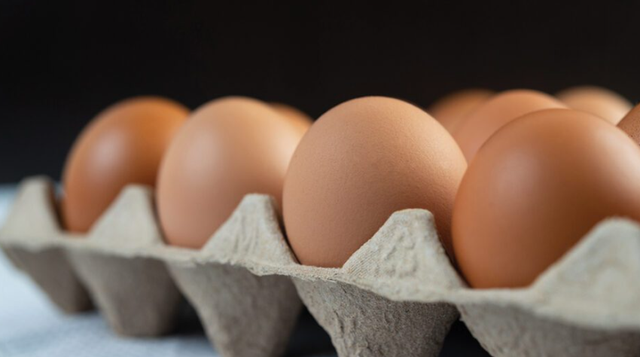 The food safety scandal continues, all egg samples in Elbasan result in
