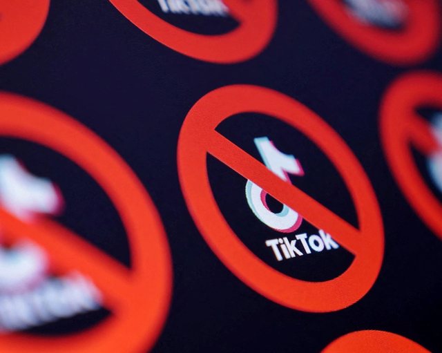 Constitutional Court reviews TikTok shutdown decision
