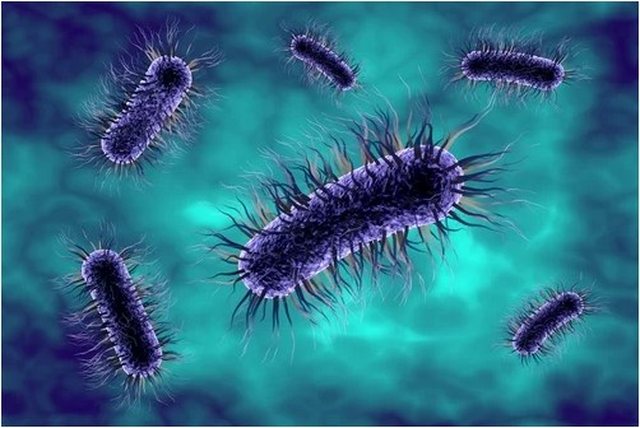 Weather-shaping factors: How cloud-dwelling microbes affect our lives