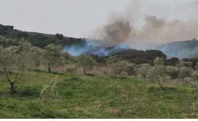 Fire in Qeparo extinguished after several hours, endangering an oil factory and