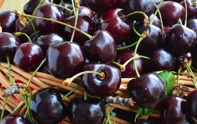 Cherry season, discover their high nutritional value and how much you should eat