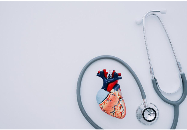 INSTAT: Heart diseases, the leading cause of death in Albania during 2024