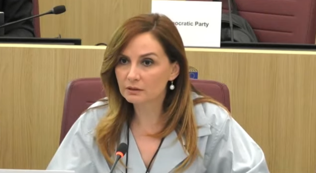 Tabaku from the Stabilization and Association Committee: The government is
