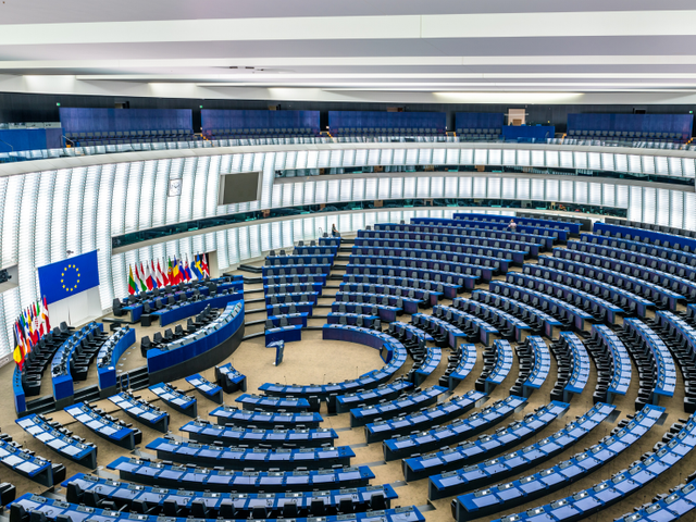 Raporti i delegacionit të Asamblesë Parlamentare për 11 Majin: PS