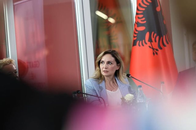 PS kopjon ligjin e PD për investimet e huaja, por sjell një arnim