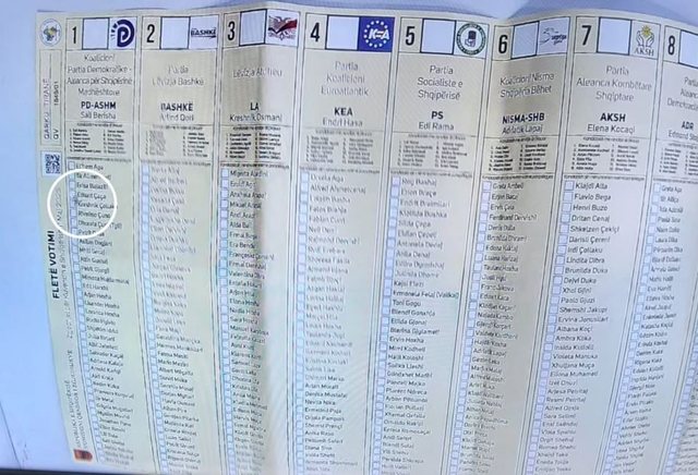Alimehmeti publikon foton: Kjo votë e PD-së u konsiderua abuzivisht si