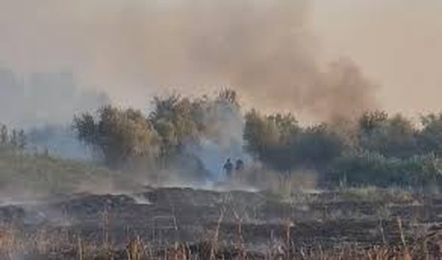 Massive fire in the village of Hoshtima in Vlora, flames are favored by strong