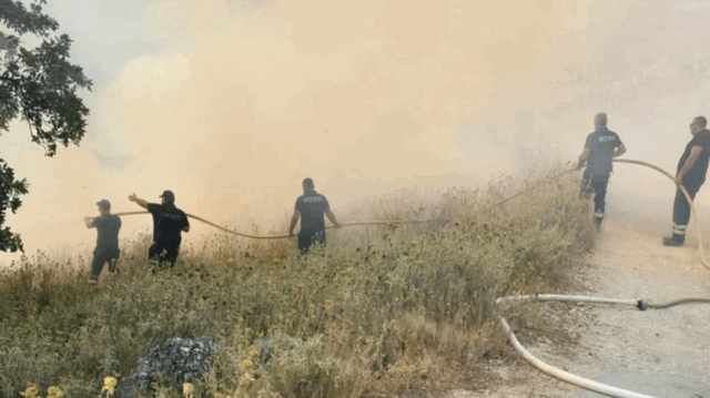 22 fires in the last 24 hours in the country, 2 still active