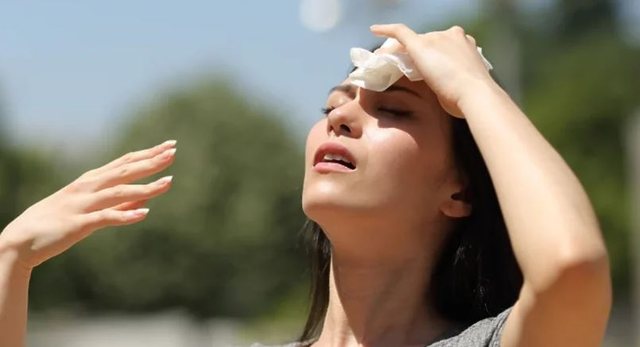 Record-breaking summer, health threats and preventive measures