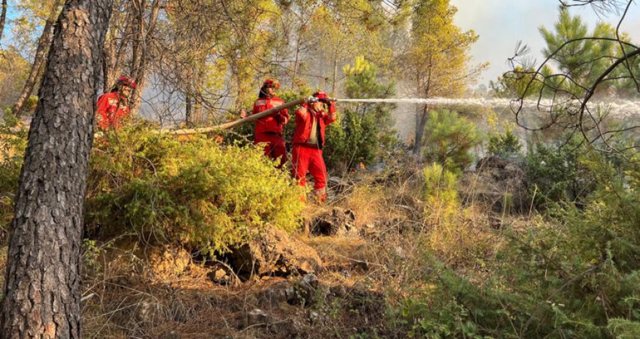 Fire situation, 28 fires reported in 24 hours, 2 still active