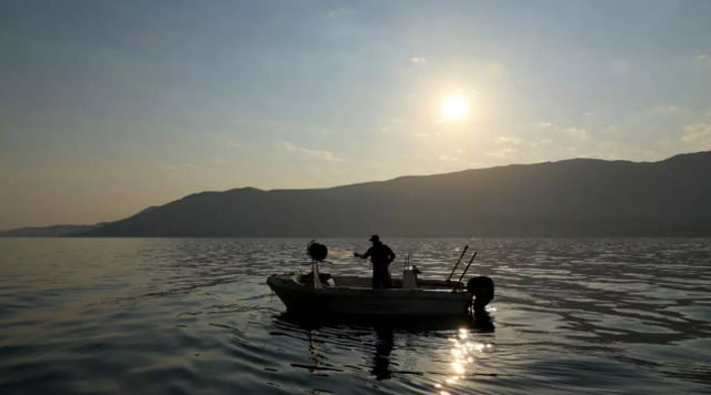 'E humba betejën time': ngrohja e detit po vret peshkimin në
