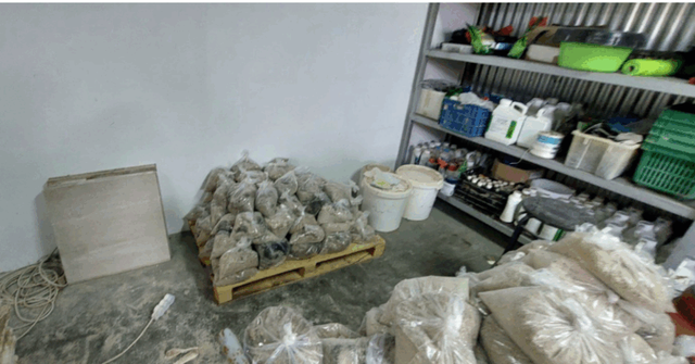 Cocaine trafficking network in Greece, including Albanians, uncovered