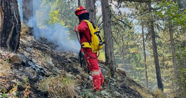 Situata me zjarret në vend, 29 vatra zjarri të raportuara në 24