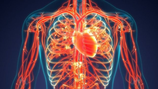 Warning signs of poor blood circulation