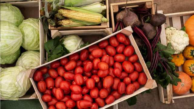Agricultural production costs are rising rapidly, 4.8% in 2024