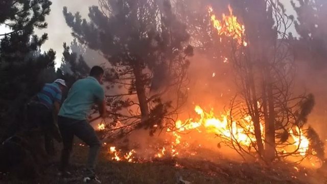 Fires in the country, 21 fires in the last 24 hours, 4 still active