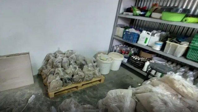 Laboratori i kokainës në Greqi, ja kush ishin shqiptarët e