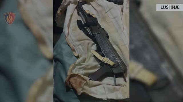 Iu gjetën në banesë armë zjarri pa leje, arrestohet