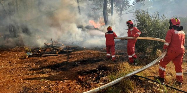Alarmi i zjarreve në vend, 6 vatra ende aktive, si paraqitet situata deri