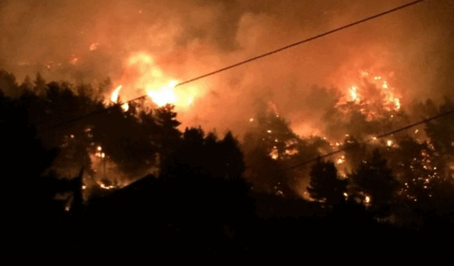 Fire in Dukat endangers Llogara National Park