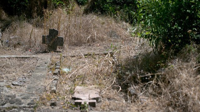 In the Serbian village claimed to be the birthplace of vampires: Mysterious