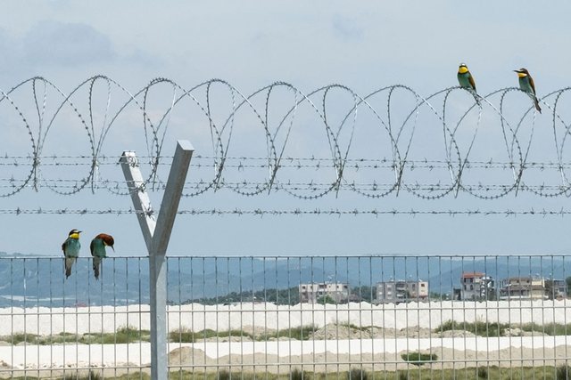 EP urges Albania to halt controversial projects damaging the environment