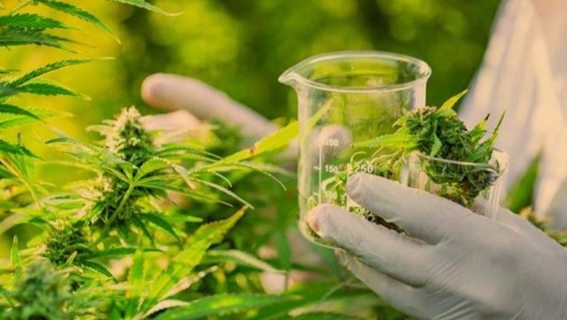 This is the company that will handle the labeling and traceability of medical