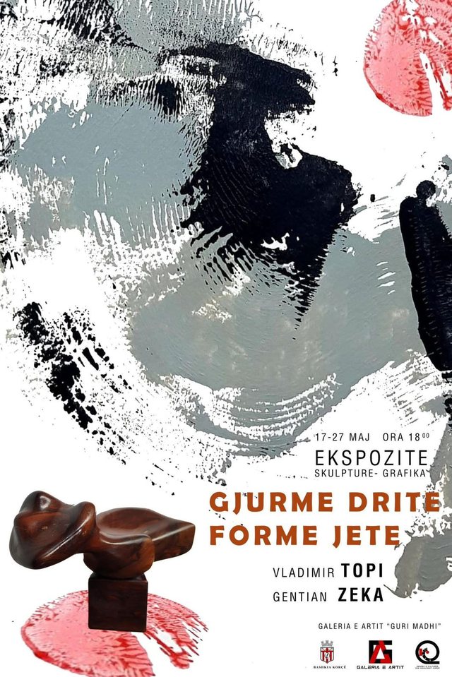 Nj&euml; udh&euml;tim mes drit&euml;s, form&euml;s dhe imagjinat&euml;s, Zeka