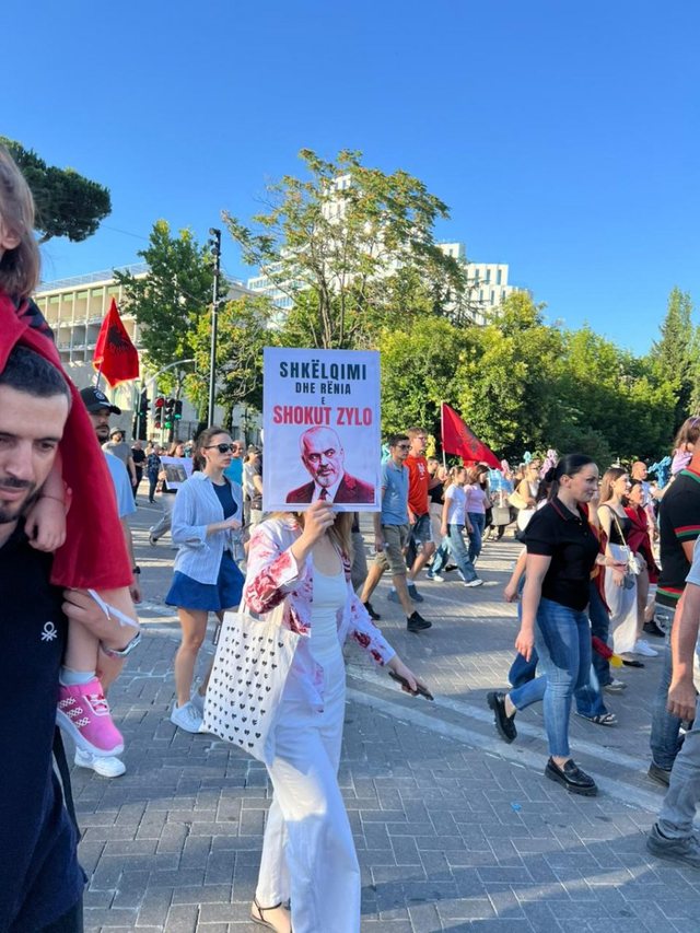 'This goat is sold for 1 euro'/ Spicy banners from the 8th protest in