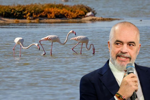 Shifrat q&euml; rr&euml;zojn&euml; Ram&euml;n/ Si u zhduk&euml;n flamingot me