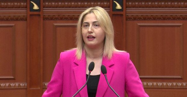 Zhupa addresses the government: The Assembly cannot be a parallel world, reality