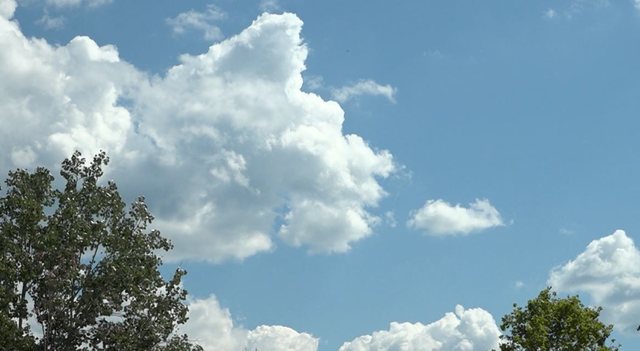 Maximum temperatures reach 30&deg;C, weather forecast for today