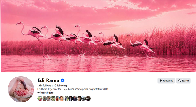 Rama provokes protesters/ His Facebook profile becomes "Flamingo", but