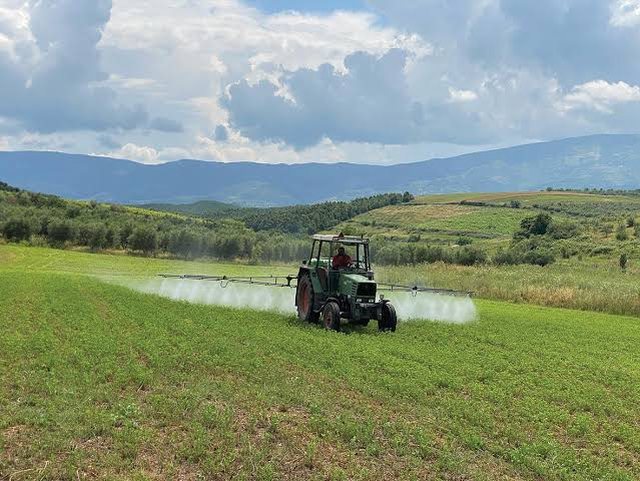 Bie bujq&euml;sia dhe industria, kush po kontribuon n&euml; rritjen ekonomike?