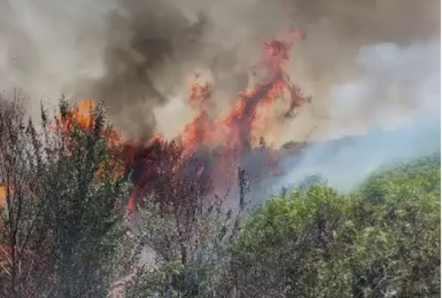 Fire in Mallakast&euml;r, Bylis Archaeological Park at risk