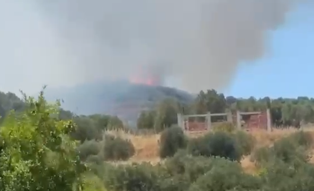 Zjarr n&euml; Llakatund t&euml; Vlor&euml;s, era favorizon p&euml;rhapjen e