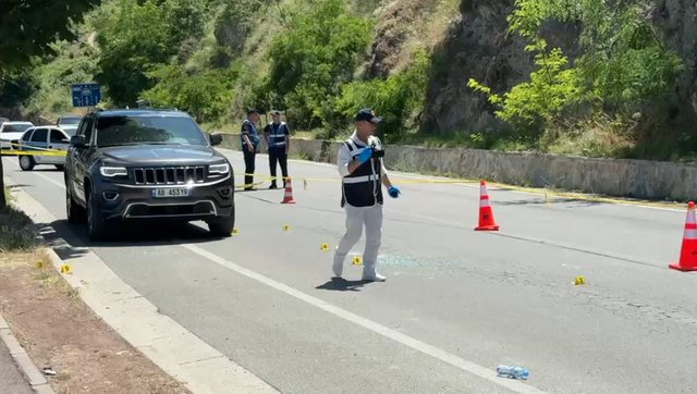 Plagosja me arm&euml; n&euml; Pogradec, policia identifikon autorin dhe zbardh