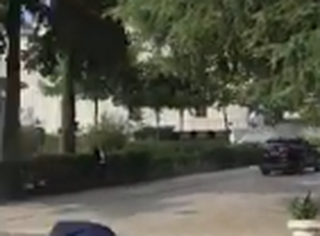 "Thieves", "trash", protesters throw eggs and flour at Niko