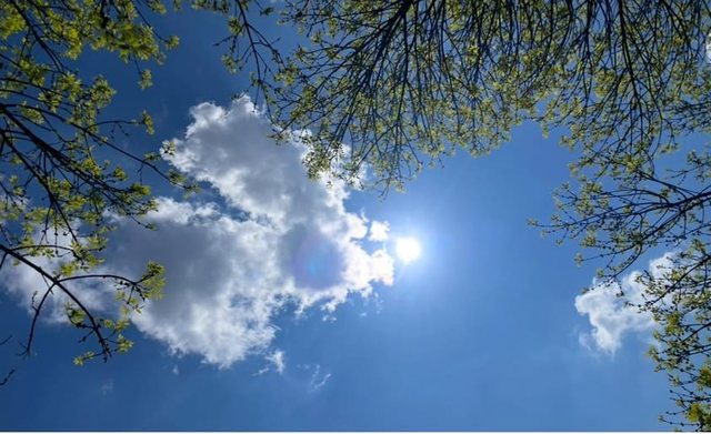 Check out the weather forecast for today.